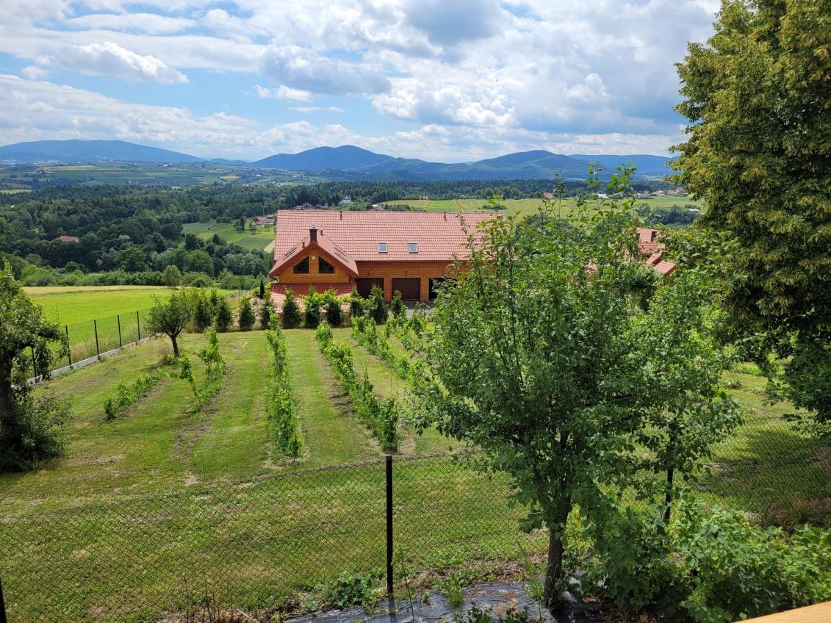 Fantastic View Vineyard Beskid Mountains Gruszow  Dış mekan fotoğraf