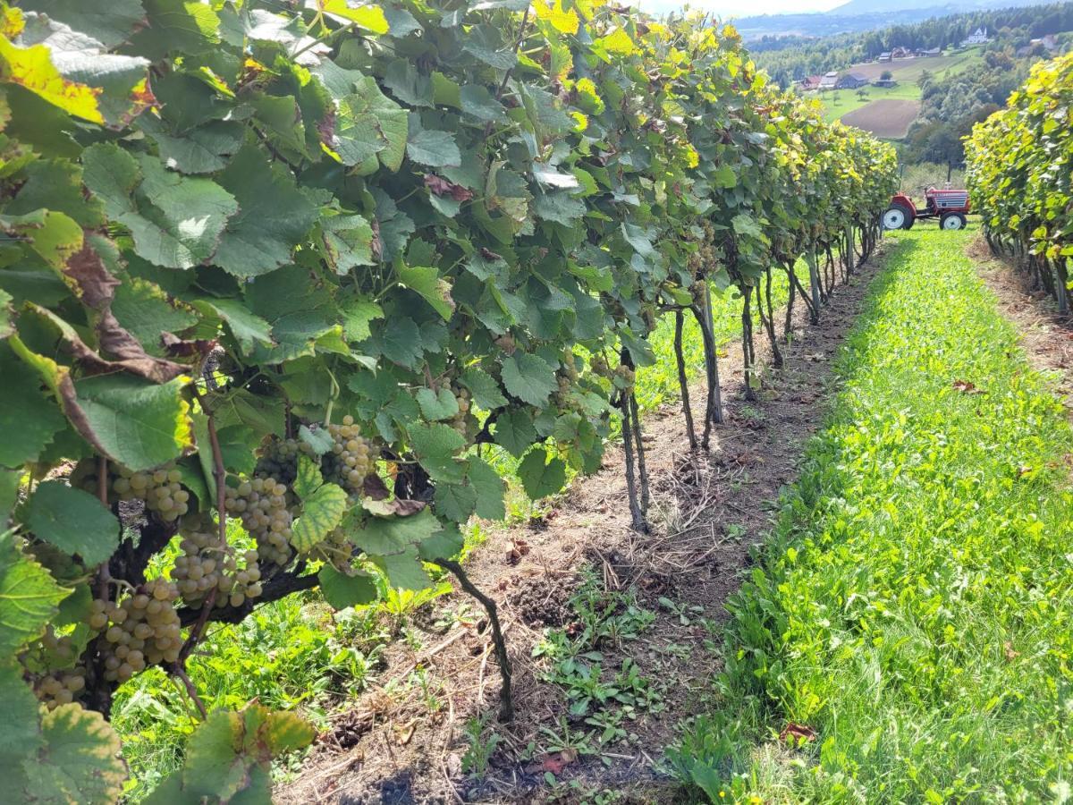 Fantastic View Vineyard Beskid Mountains Gruszow  Dış mekan fotoğraf