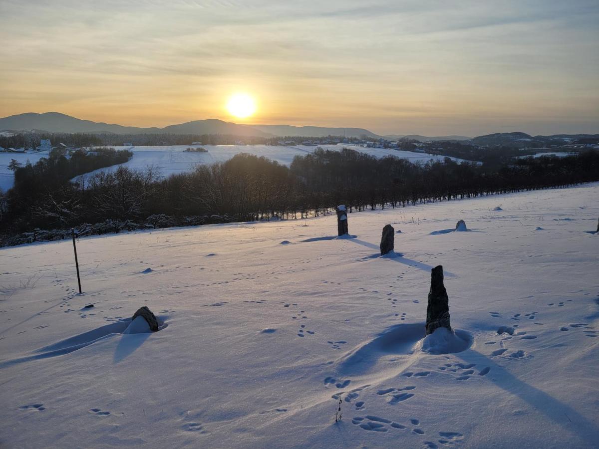 Fantastic View Vineyard Beskid Mountains Gruszow  Dış mekan fotoğraf