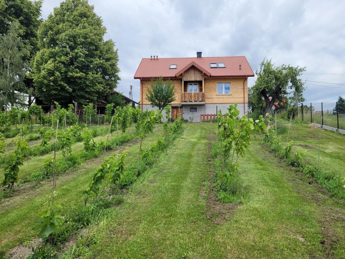 Fantastic View Vineyard Beskid Mountains Gruszow  Dış mekan fotoğraf