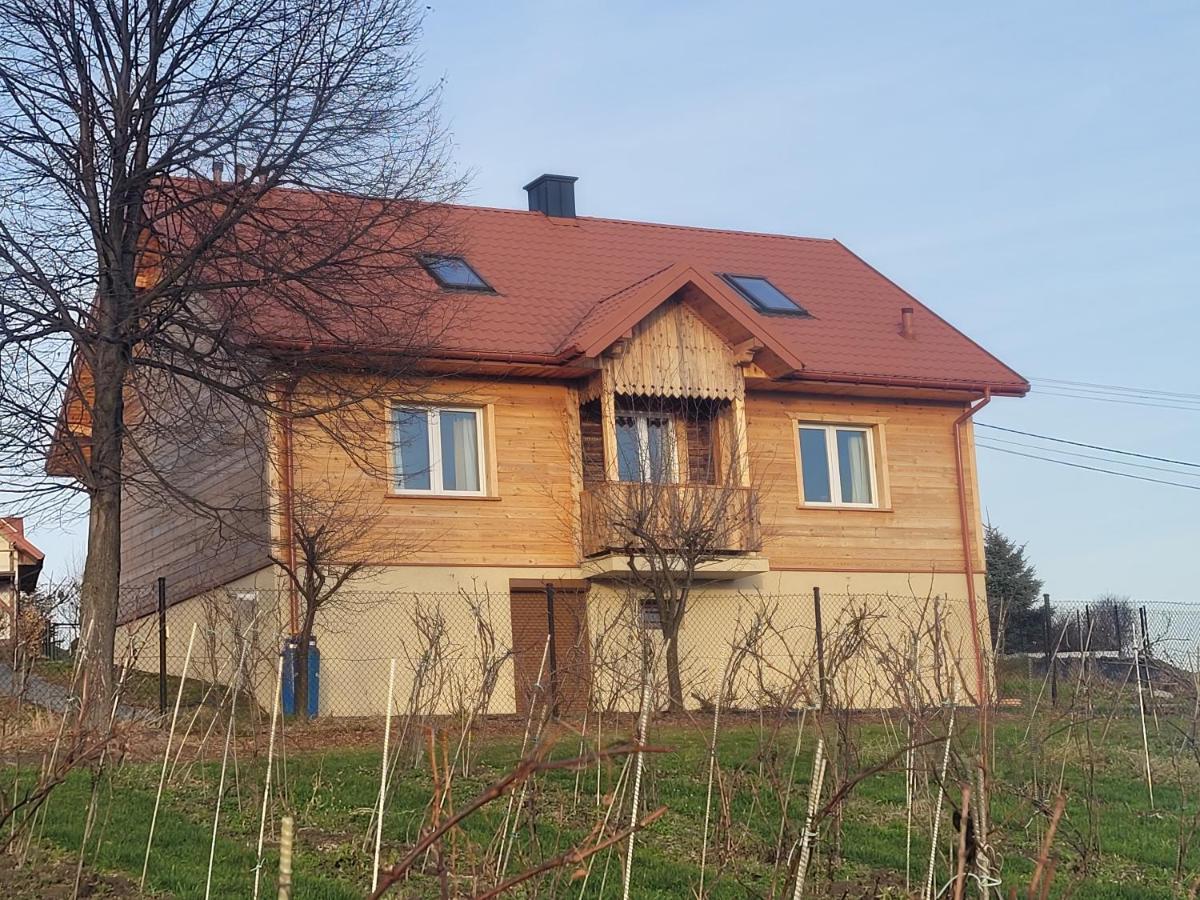 Fantastic View Vineyard Beskid Mountains Gruszow  Dış mekan fotoğraf